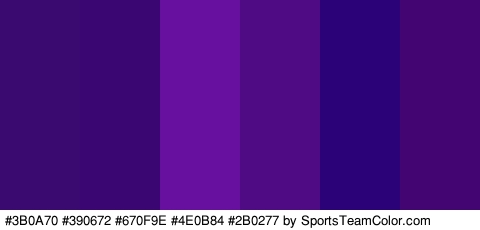 #3B0A70 #390672 #670F9E #4E0B84 #2B0277 #430572 Colors