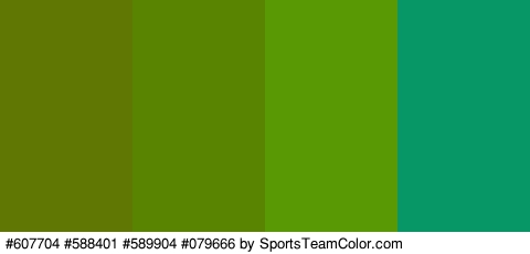 #607704 #588401 #589904 #079666 Colors