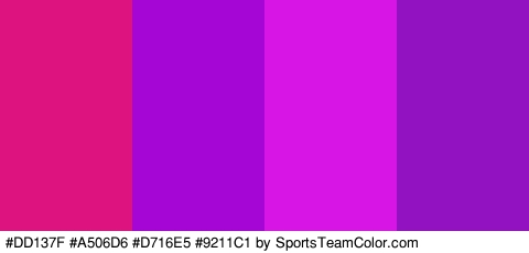 #DD137F #A506D6 #D716E5 #9211C1 Colors