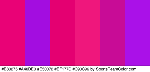 #E80275 #A40DE0 #E50072 #EF177C #C90C96 #AA10E8 Colors