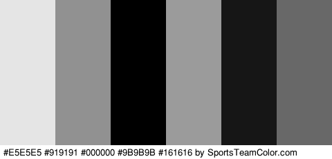 #E5E5E5 #919191 #000000 #9B9B9B #161616 #686868 Colors