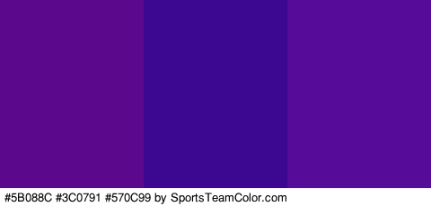 #5B088C #3C0791 #570C99 Colors