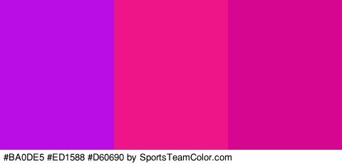 #BA0DE5 #ED1588 #D60690 Colors