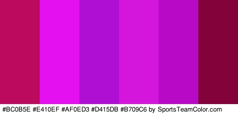 #BC0B5E #E410EF #AF0ED3 #D415DB #B709C6 #84023A Colors