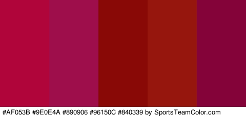 #AF053B #9E0E4A #890906 #96150C #840339 Colors