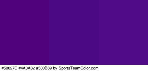 #50027C #4A0A82 #500B89 Colors