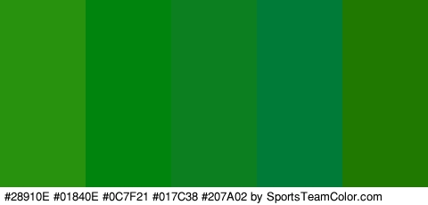 #28910E #01840E #0C7F21 #017C38 #207A02 Colors