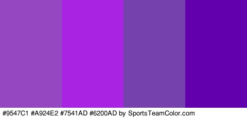 #9547C1 #A924E2 #7541AD #6200AD Colors