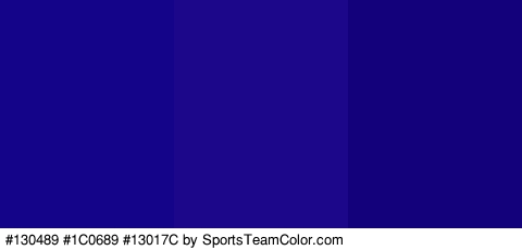 #130489 #1C0689 #13017C Colors