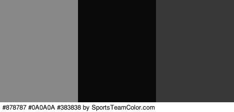 #878787 #0A0A0A #383838 Colors