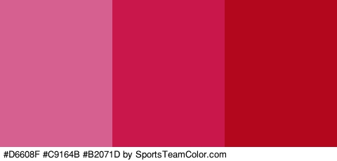 #D6608F #C9164B #B2071D Colors