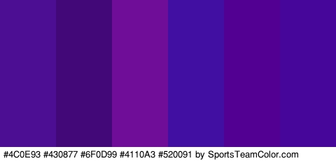 #4C0E93 #430877 #6F0D99 #4110A3 #520091 #450699 Colors