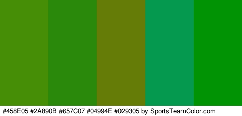 #458E05 #2A890B #657C07 #04994E #029305 Colors