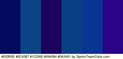 #020B5E #0C4387 #1C0360 #094084 #0A3491 #290487 Colors