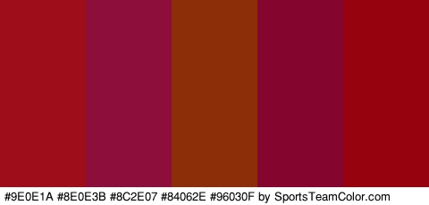 #9E0E1A #8E0E3B #8C2E07 #84062E #96030F Colors