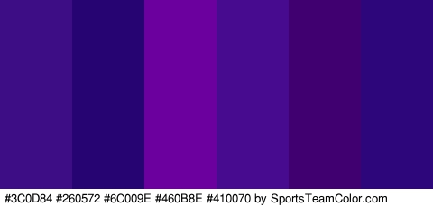 #3C0D84 #260572 #6C009E #460B8E #410070 #2D067C Colors