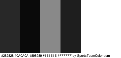 #282828 #0A0A0A #898989 #1E1E1E #FFFFFF #FFFFFF Colors