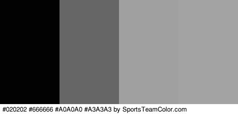 #020202 #666666 #A0A0A0 #A3A3A3 Colors