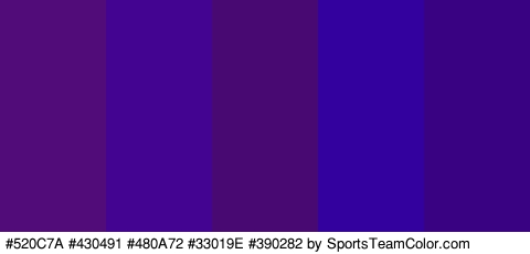 #520C7A #430491 #480A72 #33019E #390282 Colors