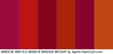 #9B0C3E #BA1512 #84061B #A8240A #87042F #BF4613 Colors