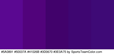 #5A0891 #50037A #41026B #3D0670 #3E0A75 Colors