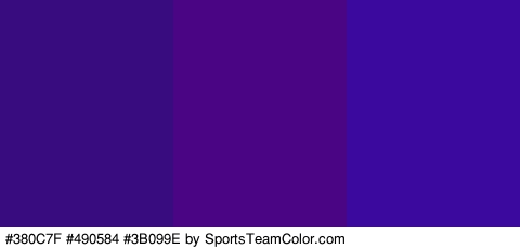 #380C7F #490584 #3B099E Colors