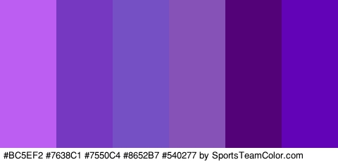 #BC5EF2 #7638C1 #7550C4 #8652B7 #540277 #6303B7 Colors