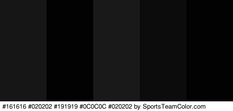 #161616 #020202 #191919 #0C0C0C #020202 Colors