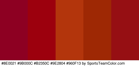 #8E0021 #9B000C #B2350C #9E2804 #960F13 Colors