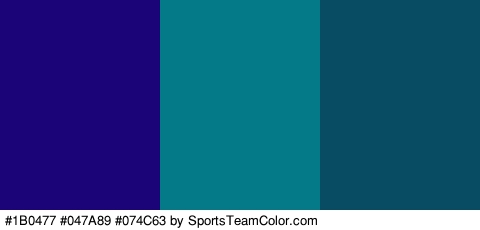 #1B0477 #047A89 #074C63 Colors