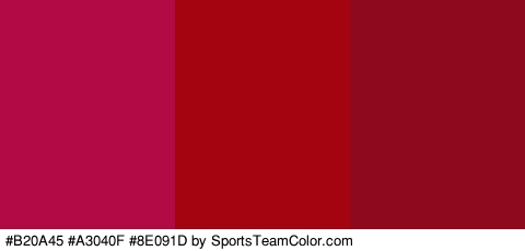 #B20A45 #A3040F #8E091D Colors