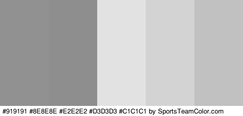 #919191 #8E8E8E #E2E2E2 #D3D3D3 #C1C1C1 Colors