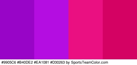 #9905C6 #B40DE2 #EA1081 #D30263 Colors