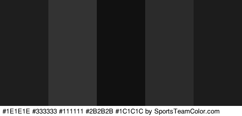 #1E1E1E #333333 #111111 #2B2B2B #1C1C1C Colors