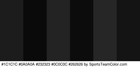 #1C1C1C #0A0A0A #232323 #0C0C0C #262626 #141414 Colors