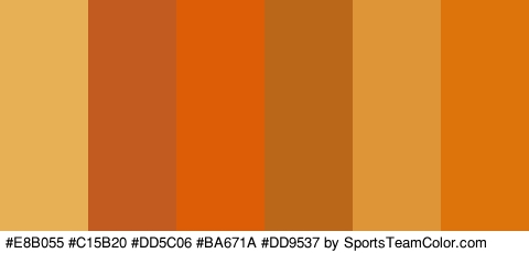 #E8B055 #C15B20 #DD5C06 #BA671A #DD9537 #DD740B Colors