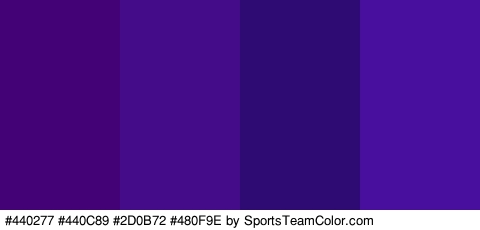 #440277 #440C89 #2D0B72 #480F9E Colors