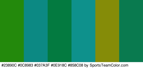 #23890C #0C8983 #037A3F #0E918C #858C08 #097A4F Colors