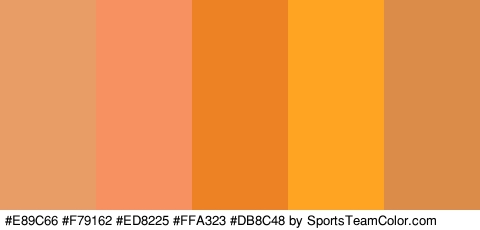 #E89C66 #F79162 #ED8225 #FFA323 #DB8C48 Colors