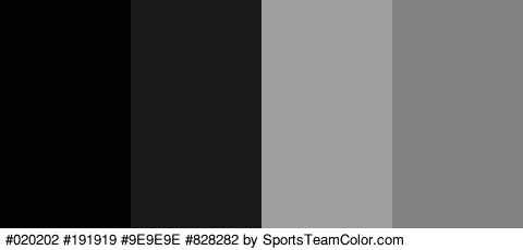 #020202 #191919 #9E9E9E #828282 Colors