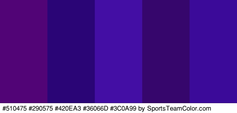 #510475 #290575 #420EA3 #36066D #3C0A99 Colors