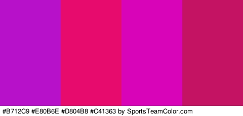 #B712C9 #E80B6E #D804B8 #C41363 Colors