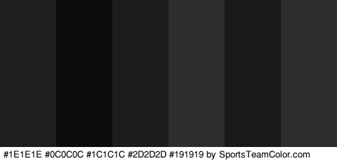 #1E1E1E #0C0C0C #1C1C1C #2D2D2D #191919 #2D2D2D Colors