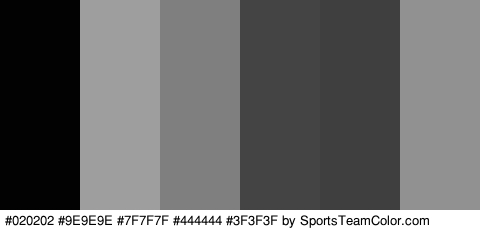 #020202 #9E9E9E #7F7F7F #444444 #3F3F3F #919191 Colors