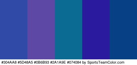 #304AA8 #5D48A5 #0B6B93 #2A1A9E #074084 Colors