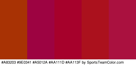 #A83203 #9E0341 #A5012A #AA111D #AA113F Colors