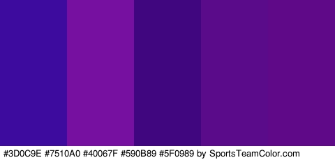 #3D0C9E #7510A0 #40067F #590B89 #5F0989 Colors