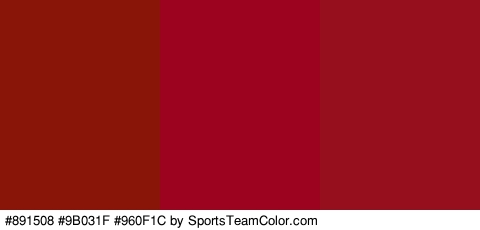 #891508 #9B031F #960F1C Colors