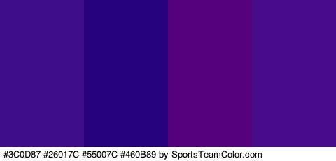 #3C0D87 #26017C #55007C #460B89 Colors