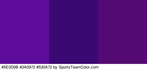 #5E0D9B #3A0972 #530A72 Colors